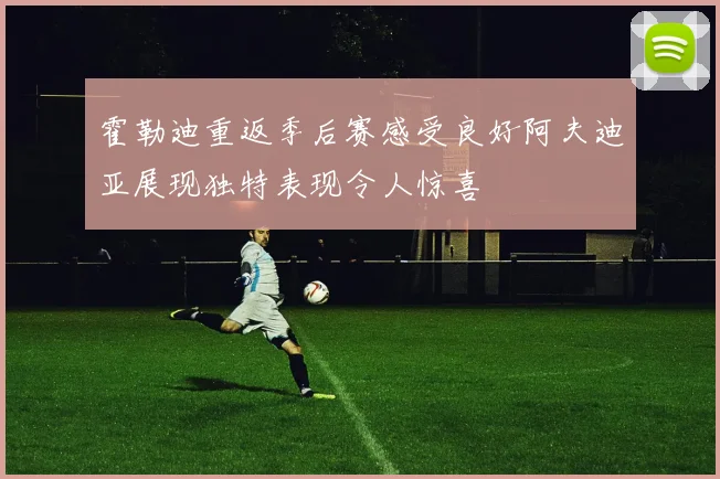 霍勒迪重返季后赛感受良好阿夫迪亚展现独特表现令人惊喜
