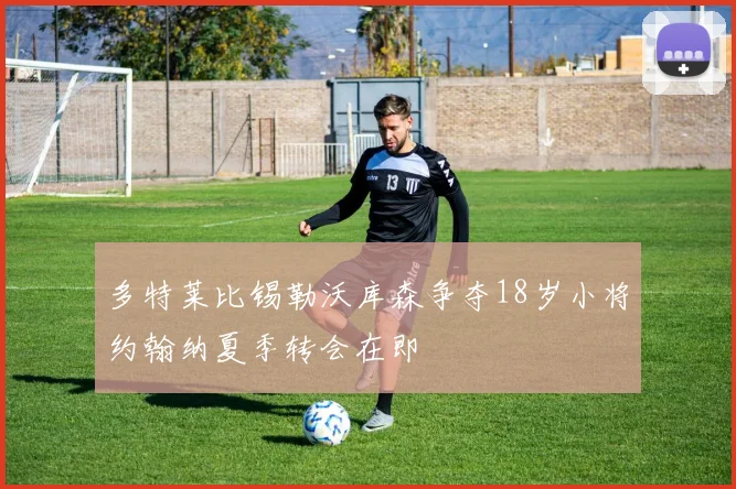 多特莱比锡勒沃库森争夺18岁小将约翰纳夏季转会在即